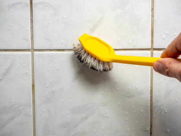Best Residential Mold Remediation in North Adams, MA