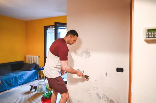 Best Mold Remediation for Specific Building Types in North Adams, MA